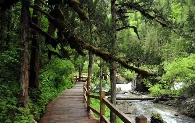 踏春出游四天三晚,四姑娘山五一节值得去吗