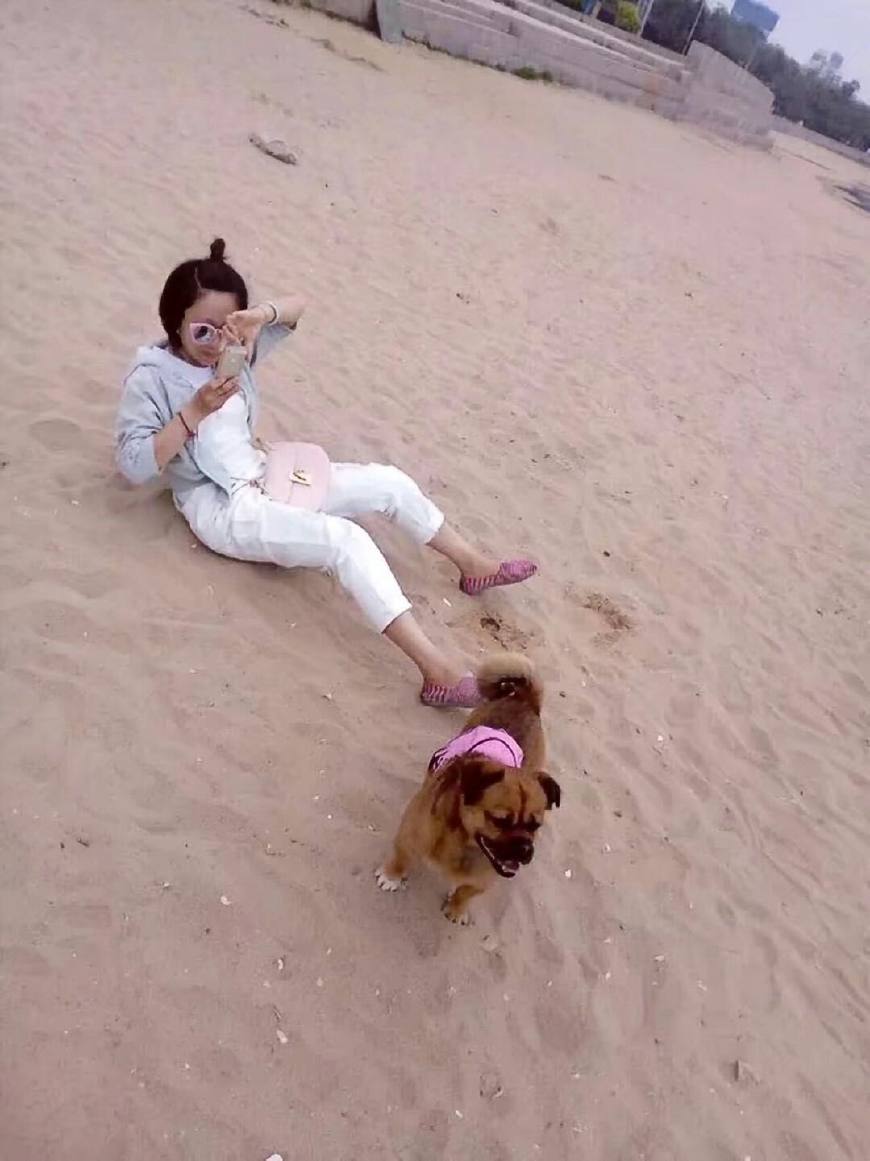 贝灵顿轶闻第七篇