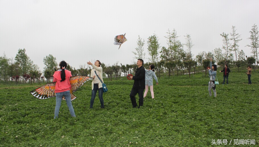 我知道的风俗清明节,真的有人知道清明节吗