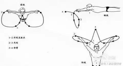 蛙泳有趣教学方式,蛙泳怎么游得快又轻松技巧