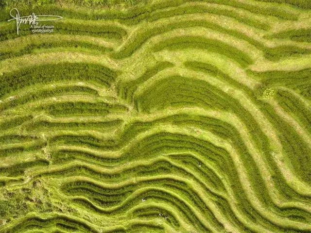 你所不知道的原神,探秘仰山栖隐寺