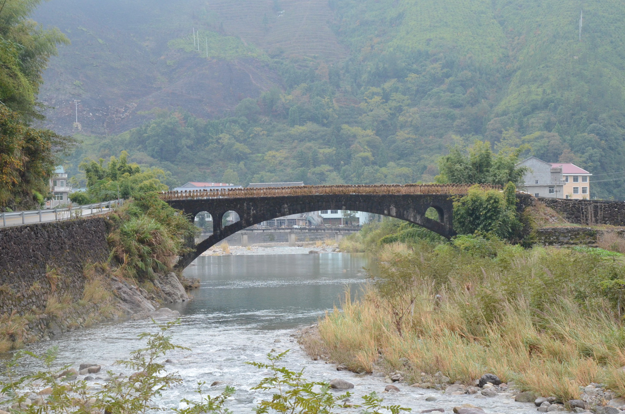 台州黄岩最新消息,台州黄岩第一大镇