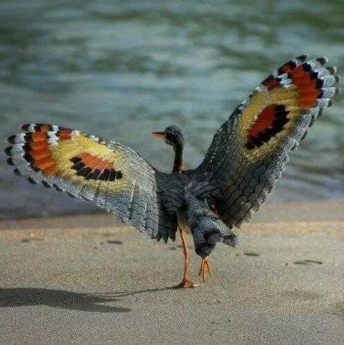 罕见，罕见，太罕见了，99%的人都没见过，忍不住发给你看看！