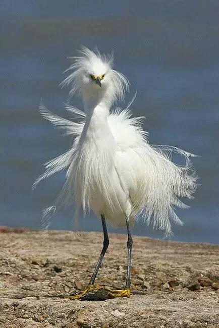 罕见，罕见，太罕见了，99%的人都没见过，忍不住发给你看看！