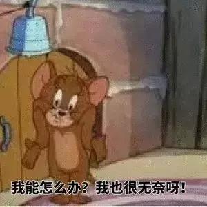 加拿大海关入境可以带什么,2020年进入加拿大海关有什么要求