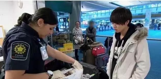 加拿大海关入境可以带什么,2020年进入加拿大海关有什么要求