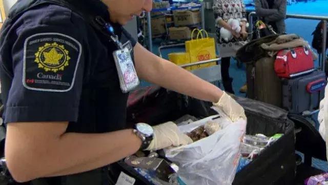 加拿大海关入境可以带什么,2020年进入加拿大海关有什么要求