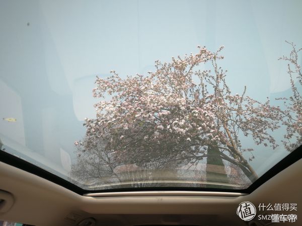 神车比亚迪f3,神车f3