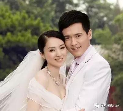 董璇高云翔陈思诚,陈思诚董璇