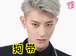 董璇高云翔陈思诚,陈思诚董璇