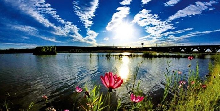 深圳20处好玩又免费的地方,深圳好玩的地方推荐100元以内