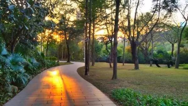 深圳20处好玩又免费的地方,深圳好玩的地方推荐100元以内