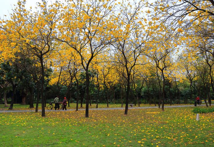 深圳20处好玩又免费的地方,深圳好玩的地方推荐100元以内