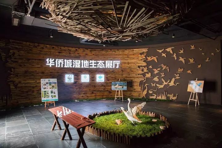 深圳20处好玩又免费的地方,深圳好玩的地方推荐100元以内