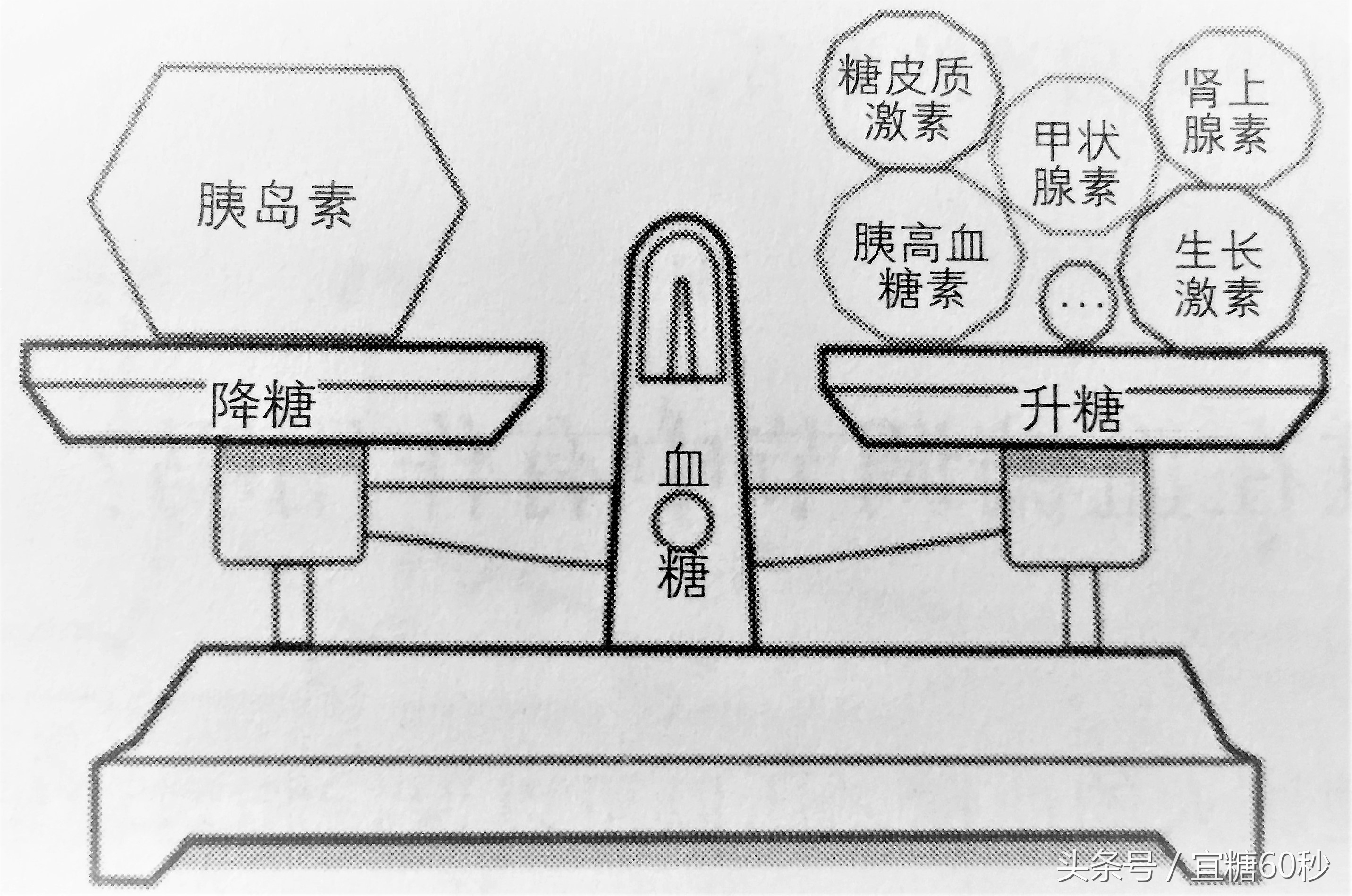 血糖高打胰岛素可以喂母乳吗,糖妈妈催生有危险吗