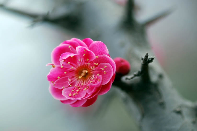 跟周围人关系都不好怎么做,和大家处不好关系