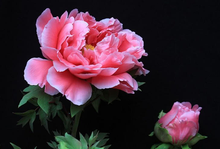 跟周围人关系都不好怎么做,和大家处不好关系