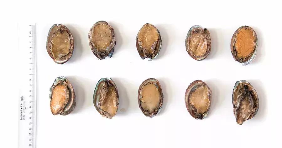 缃戜笂涔扮殑绮惧搧鐚倝,缃戜笂娣樺埌鐨勫ソ涓滆タ