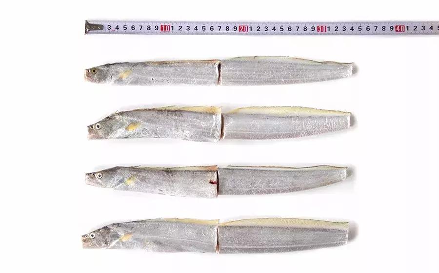 缃戜笂涔扮殑绮惧搧鐚倝,缃戜笂娣樺埌鐨勫ソ涓滆タ