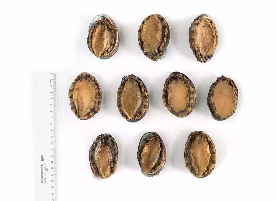 缃戜笂涔扮殑绮惧搧鐚倝,缃戜笂娣樺埌鐨勫ソ涓滆タ