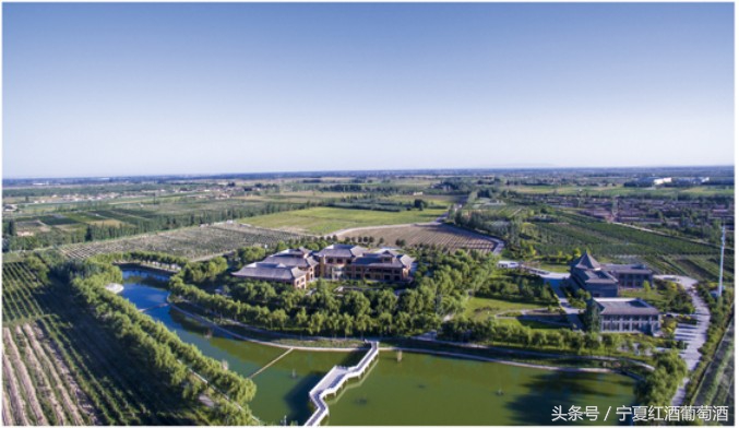 宁夏贺兰山东麓西夏王,宁夏农垦贺兰山种业有限公司