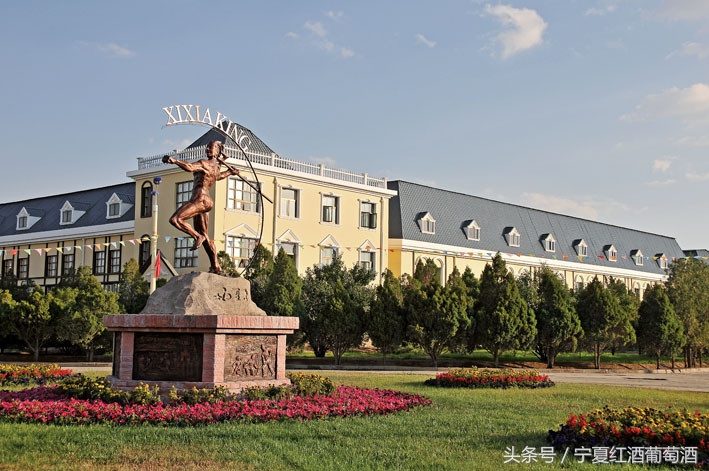 宁夏贺兰山东麓西夏王,宁夏农垦贺兰山种业有限公司