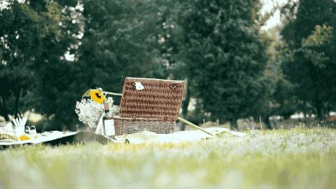 春季酒单,好喝的走心酒单推荐