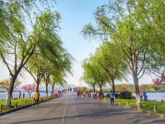 清明踏春,修好手机出去嗨~闪修侠换电池95元起,换碎屏160元起!