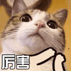 收藏车子要办什么手续,如何快速通过机动车年检