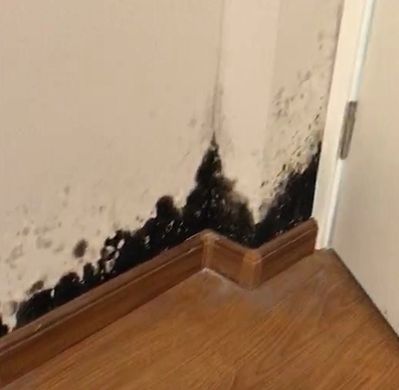 装修材料品牌的全网推荐大汇总,头条装修必备材料十大品牌