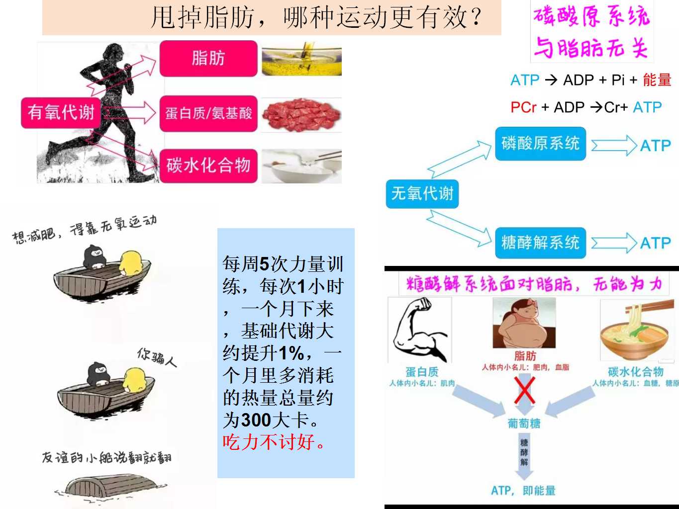 科学饮食有什么重要性,膳食补充剂选哪种好