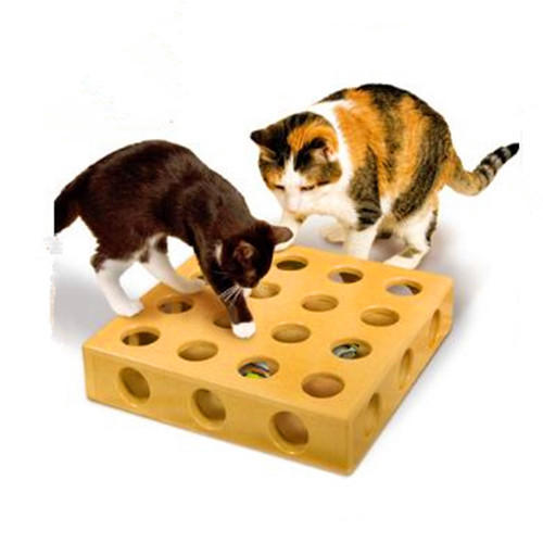 养猫家里不能有哪些东西 (家里养猫的应该知道哪些小技巧)