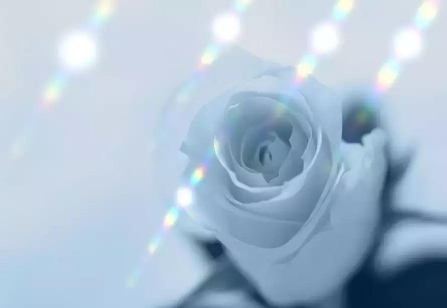 买首饰怎么区别足金k金,足金与k金首饰哪个好