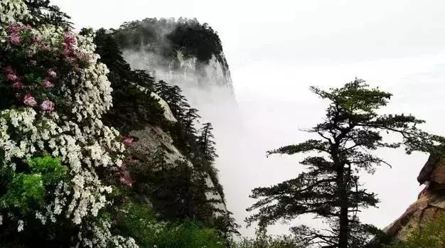 扬州清明踏青攻略,清明踏青出游必备攻略get