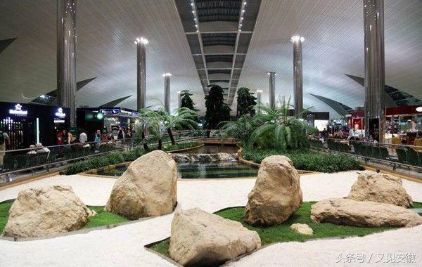 合肥机场现“袖珍睡吧”,除了坐着发呆,原来机场还能做这些事