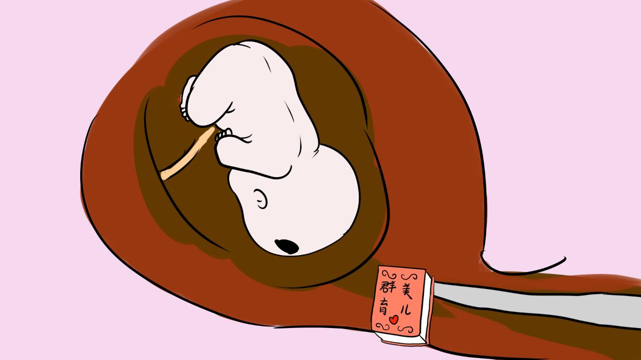 为什么会胎停育原因是什么,胎儿停育是什么原因