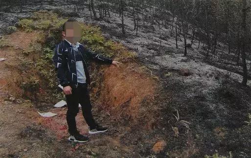 清明期间重大事件,清明事件曝光