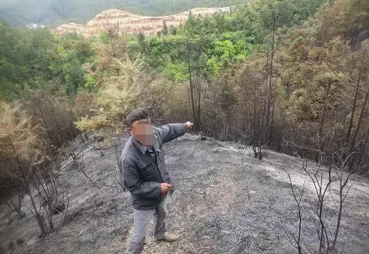 清明期间重大事件,清明事件曝光