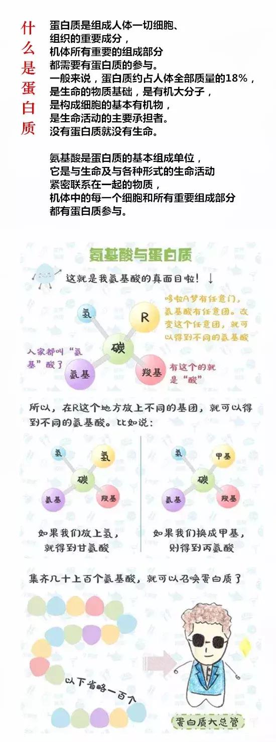 营养粉和蛋白质粉的区别,黑牛营养蛋白质粉怎么样