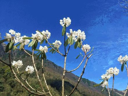 清明踏春一日游必去景点,踏春赏花景点最美推荐