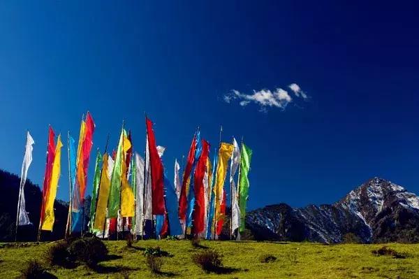 清明踏春一日游必去景点,踏春赏花景点最美推荐