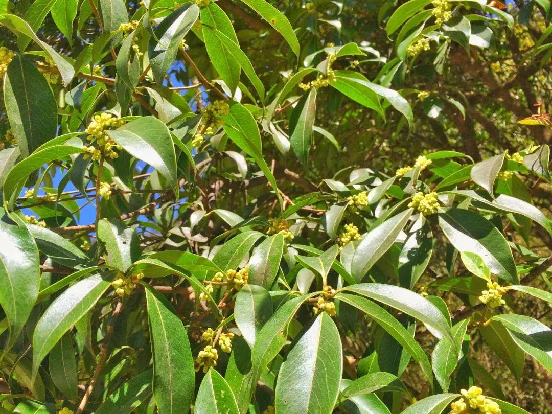 清明踏春一日游必去景点,踏春赏花景点最美推荐