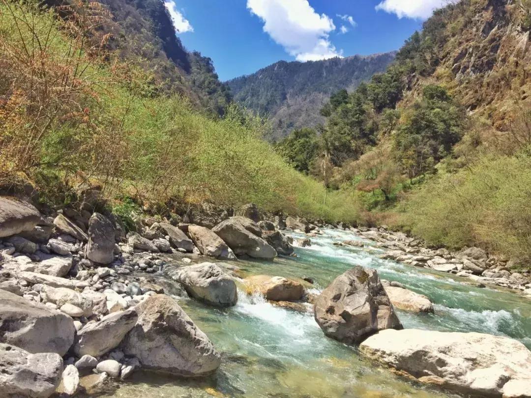 清明踏春一日游必去景点,踏春赏花景点最美推荐