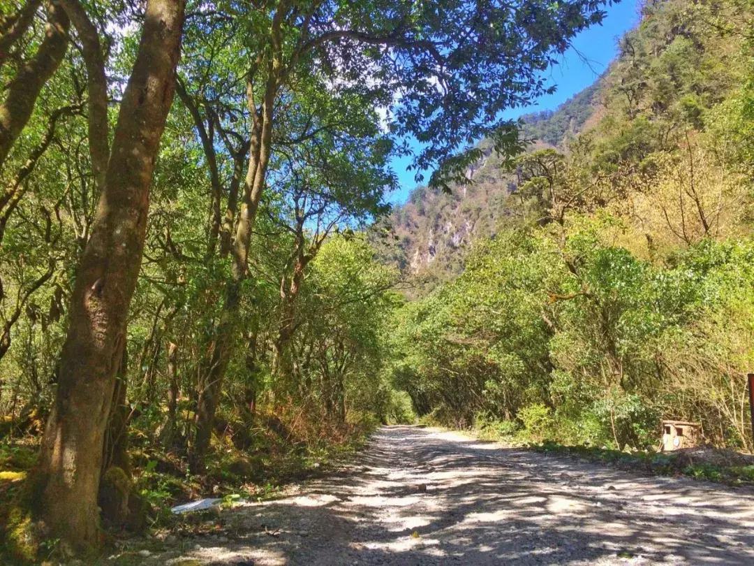 清明踏春一日游必去景点,踏春赏花景点最美推荐