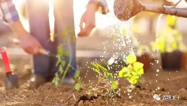 这家漂亮似公园的有机农场，到底有什么“绝活”？