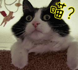 不堪入目，暗访喵届吸毒场所，竟……