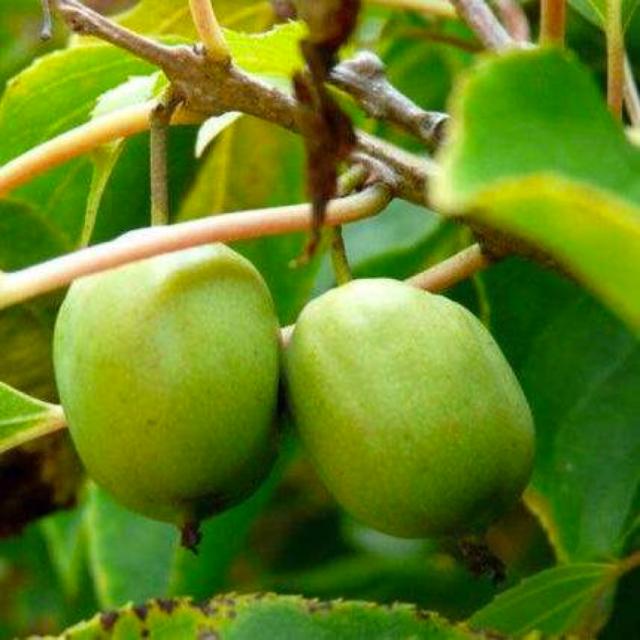 不堪入目，暗访喵届吸毒场所，竟……