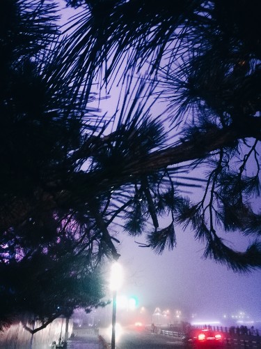 青年旅社免费入住靠谱吗,为什么不要住青年旅舍