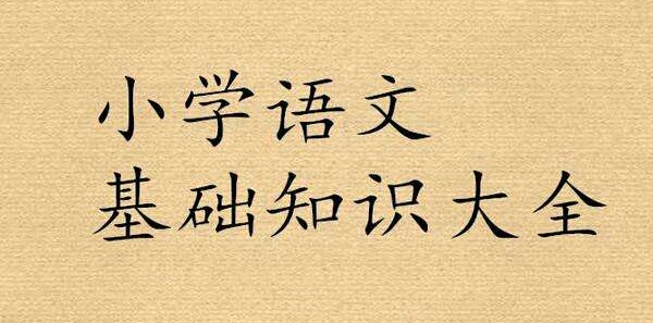 语文阅读基础知识丢分,语文考试基础知识丢分分析