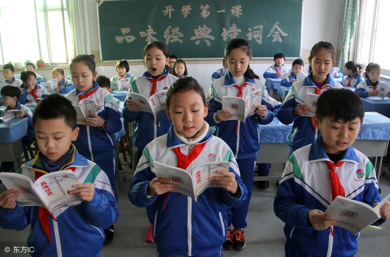 语文阅读基础知识丢分,语文考试基础知识丢分分析